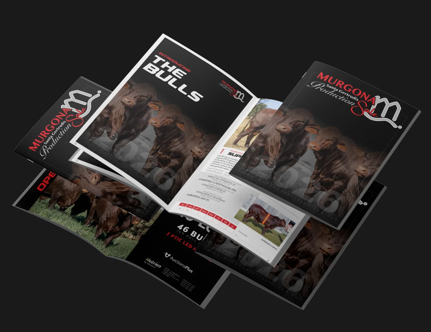 Murgona Magazine Editorial Design by Dalton Schloss