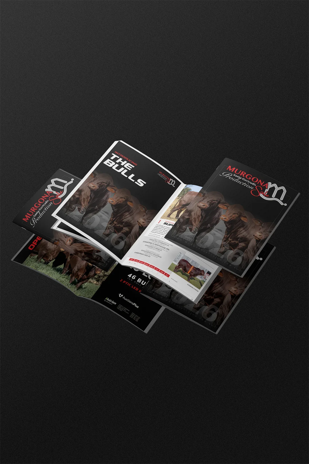 Murgona Catalogue 2026 Project Preview